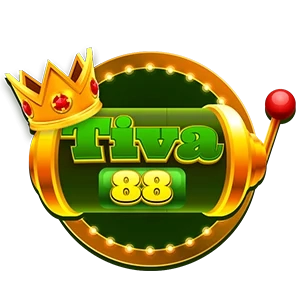 tiva88 btv168